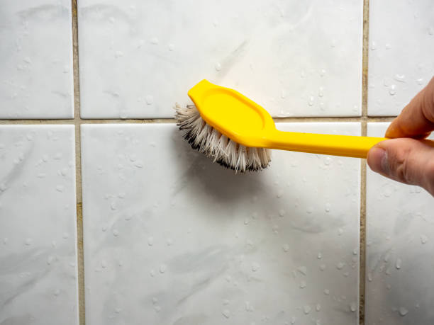 Best Residential Mold Remediation in Roseville, MI